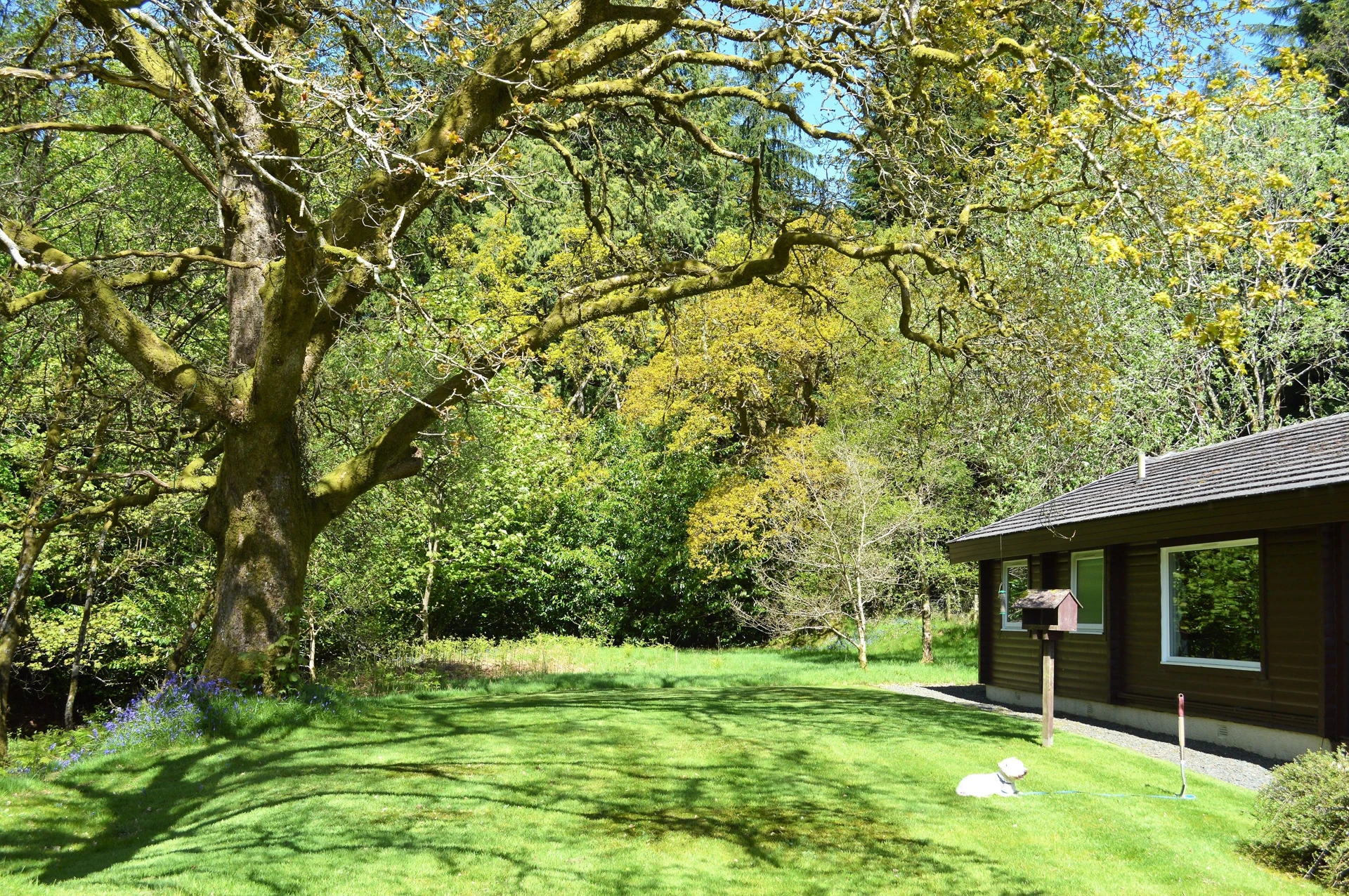 Ard Darach Lodge Image 1