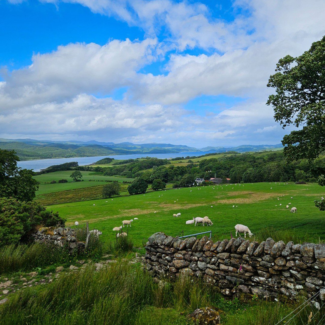 Family-Friendly Activities on the Kintyre66 | Wild About Argyll & the Isles