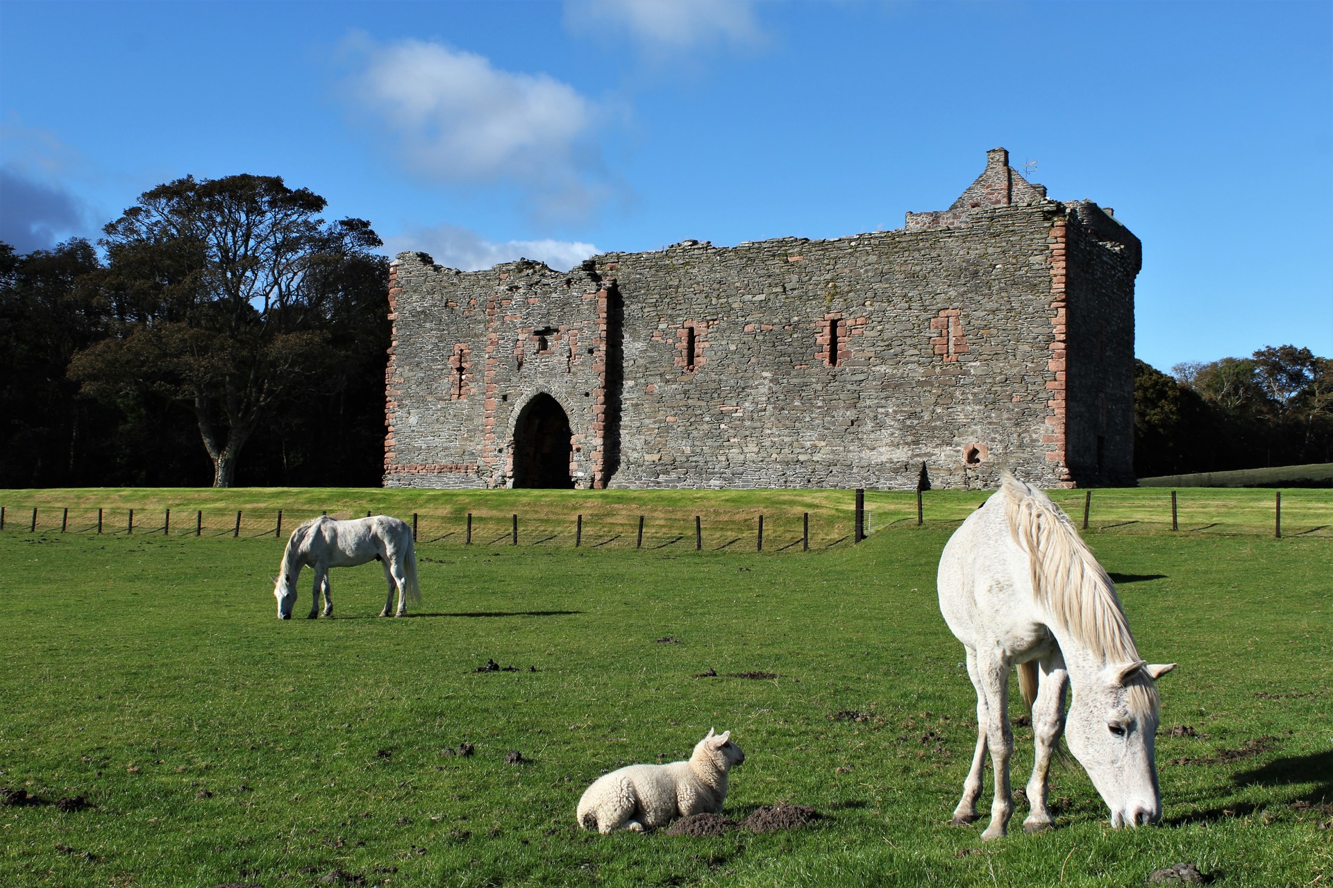 Background image - skipness_castle_credit_nick_fletcher.jpg