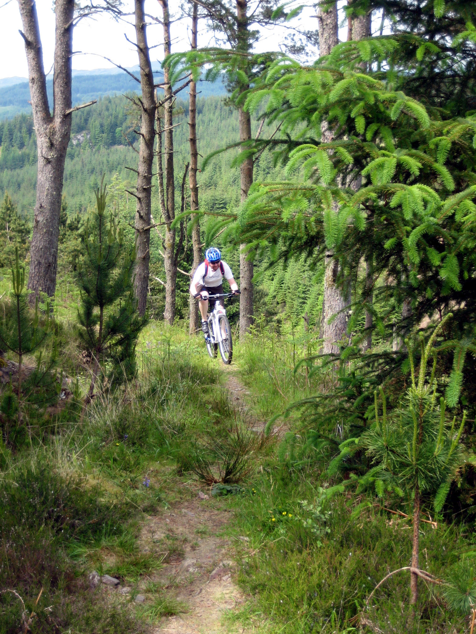 Kirkhill cheap forest mtb