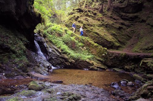 Puck's Glen in Cowal